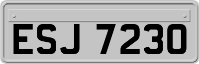 ESJ7230