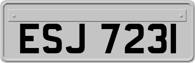 ESJ7231