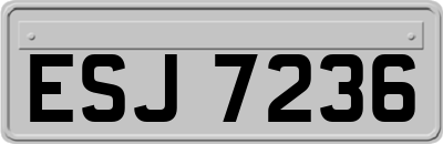 ESJ7236