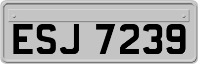 ESJ7239
