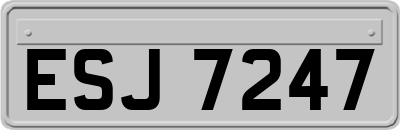 ESJ7247