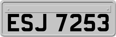 ESJ7253