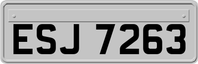 ESJ7263