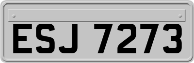 ESJ7273