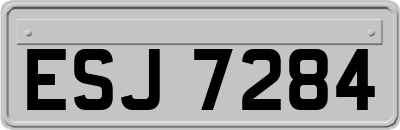 ESJ7284
