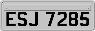 ESJ7285