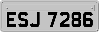 ESJ7286