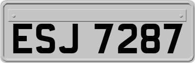 ESJ7287
