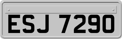 ESJ7290