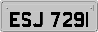 ESJ7291