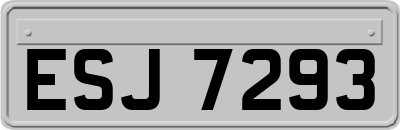 ESJ7293