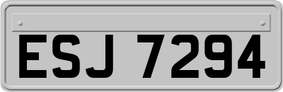 ESJ7294
