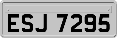 ESJ7295