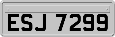 ESJ7299