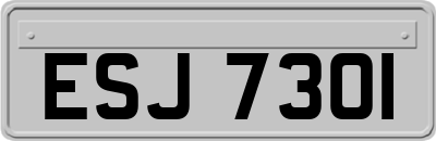 ESJ7301