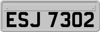 ESJ7302