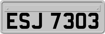 ESJ7303