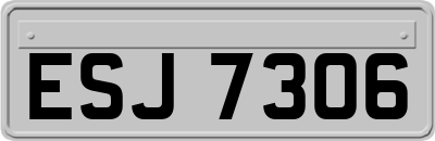ESJ7306