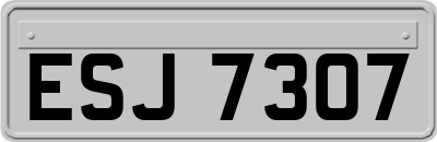 ESJ7307