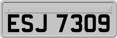ESJ7309