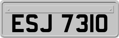 ESJ7310