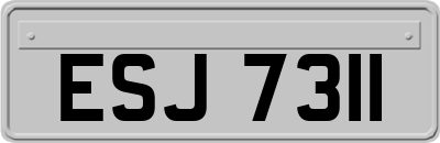 ESJ7311