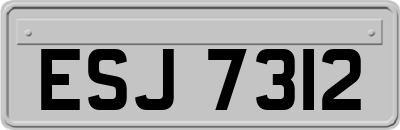 ESJ7312