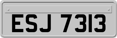 ESJ7313