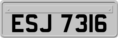 ESJ7316