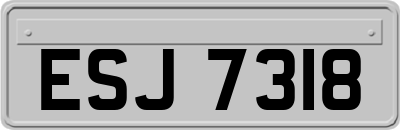 ESJ7318