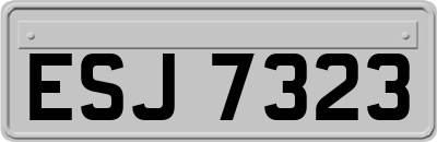 ESJ7323