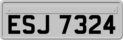 ESJ7324