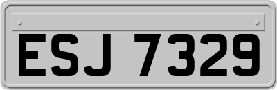 ESJ7329