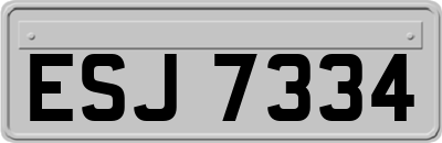 ESJ7334