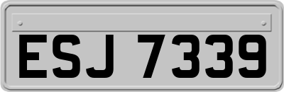 ESJ7339