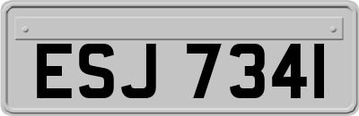ESJ7341