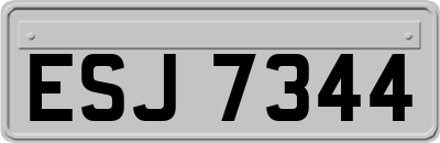ESJ7344