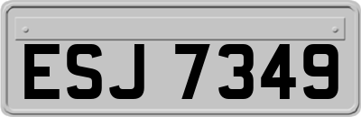 ESJ7349