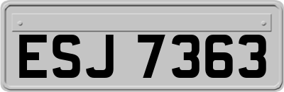 ESJ7363