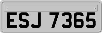 ESJ7365