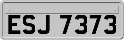 ESJ7373
