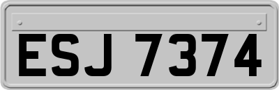 ESJ7374