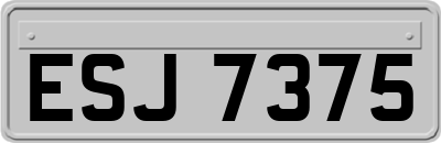 ESJ7375