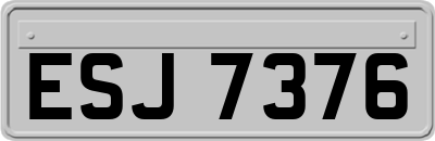 ESJ7376