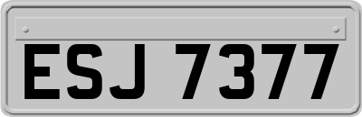 ESJ7377