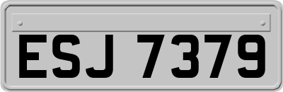 ESJ7379