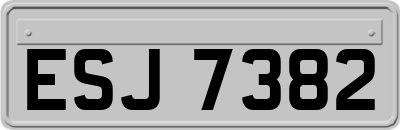 ESJ7382