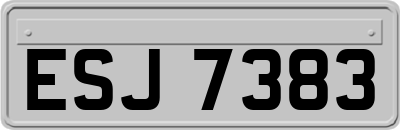 ESJ7383
