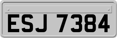 ESJ7384