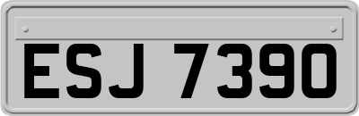 ESJ7390